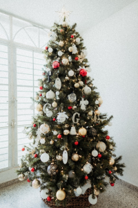 一大棵聖誕樹，節日後要怎樣收藏？